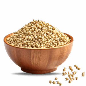 Coriander Seeds